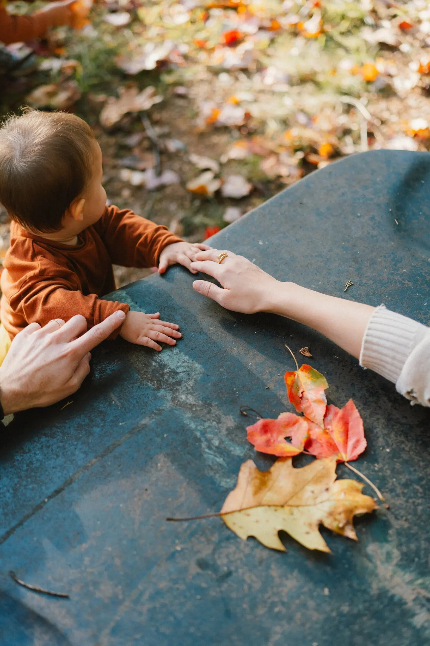 family photographer in charlottesville, va, fall family photos at home