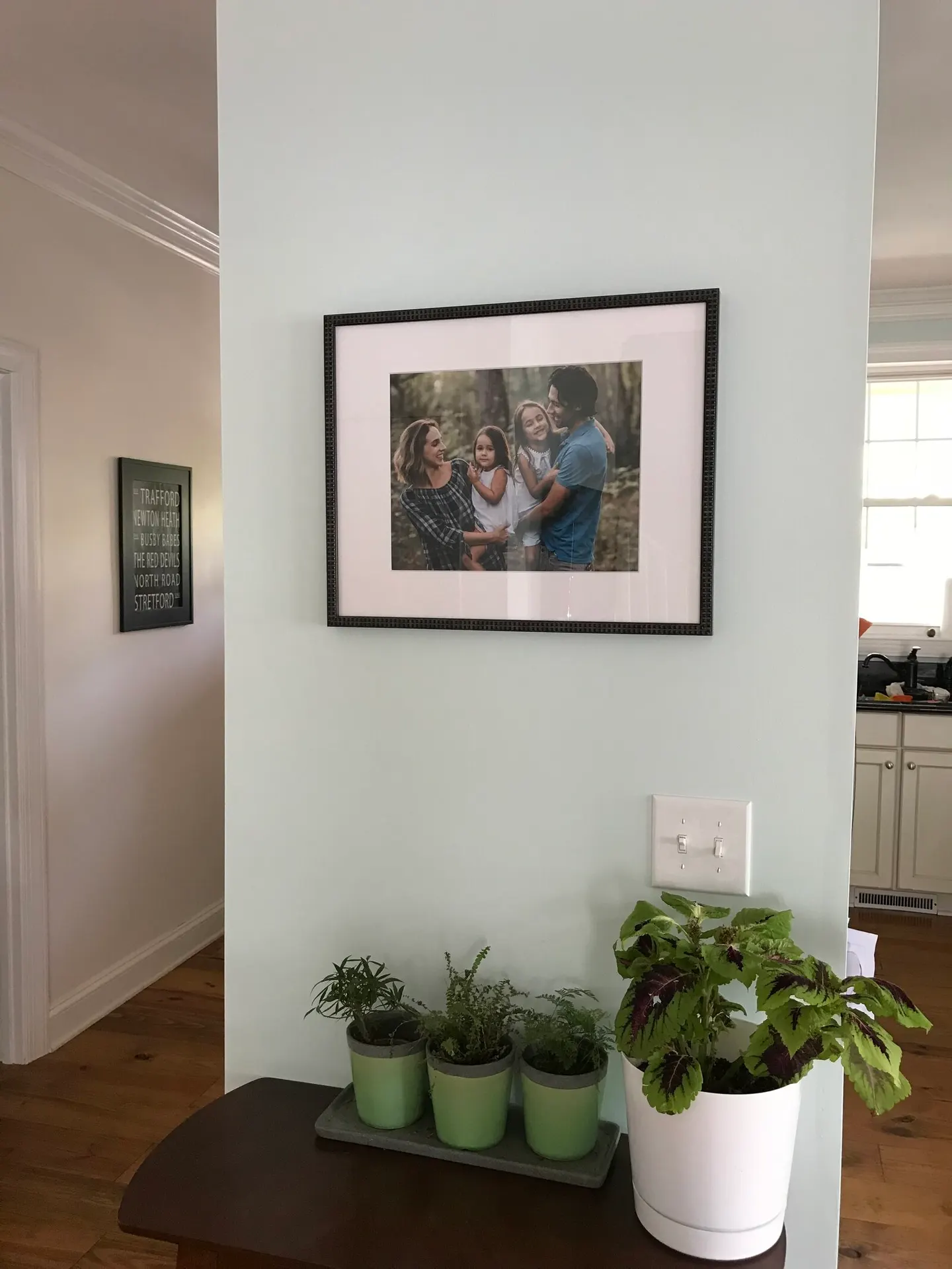 Black-framed family portrait hung on a hallway accent wall above a row of potted plants
