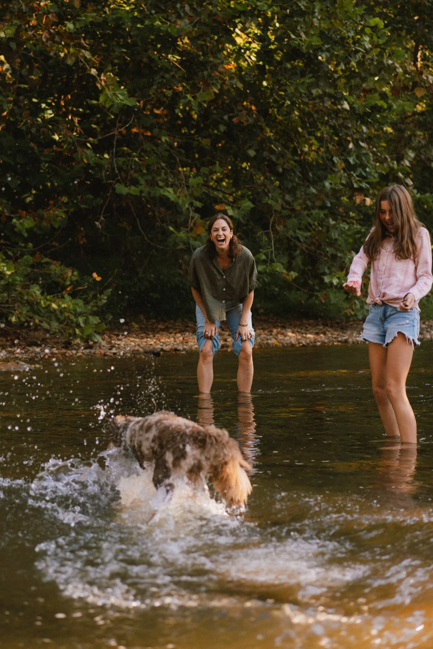 A mother and teenage daughter laugh as their dog shakes off water in a wooded creek.