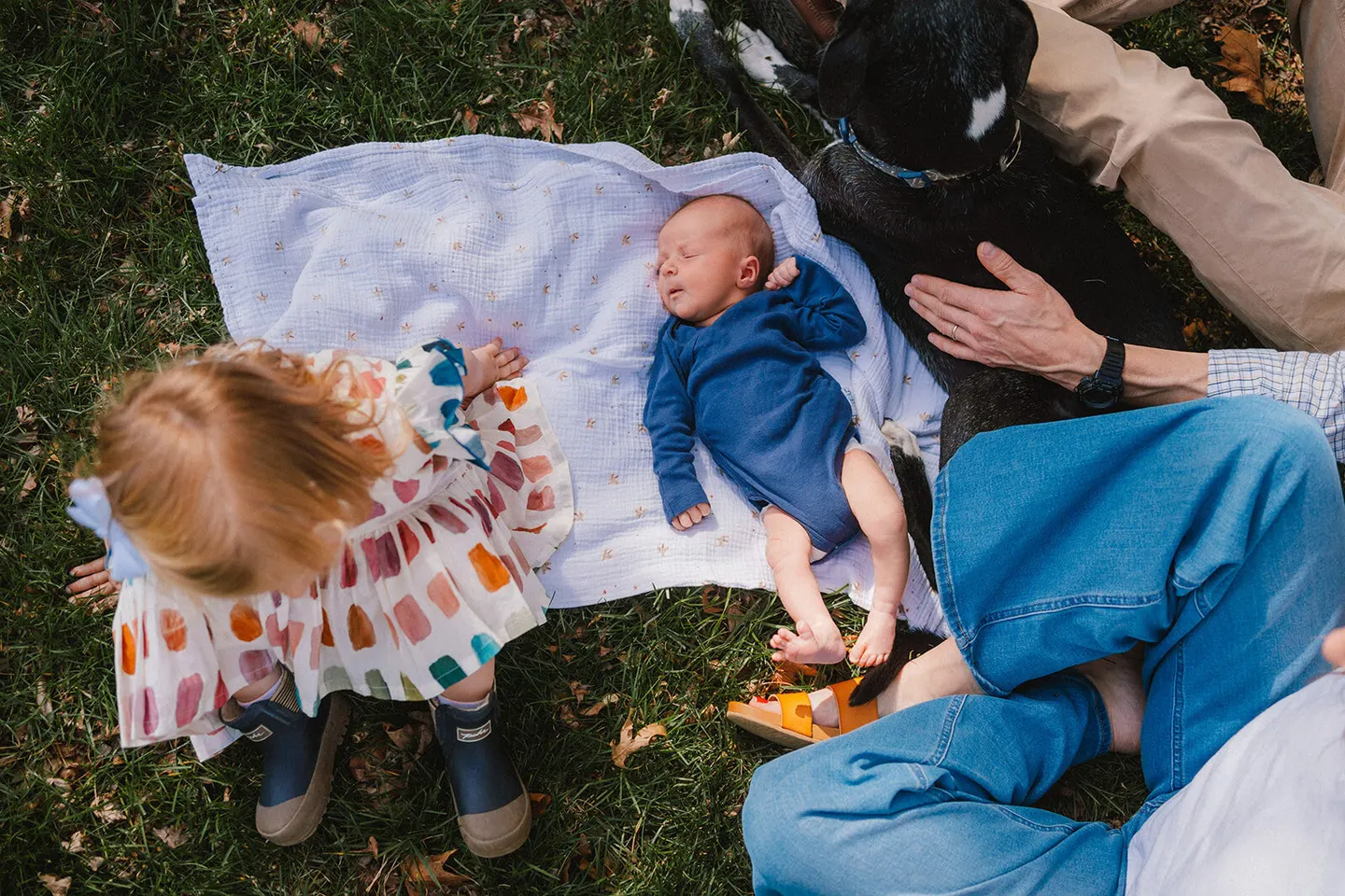 From above, a toddler reaches for her newborn sibling on a blanket as the family dog looks on.