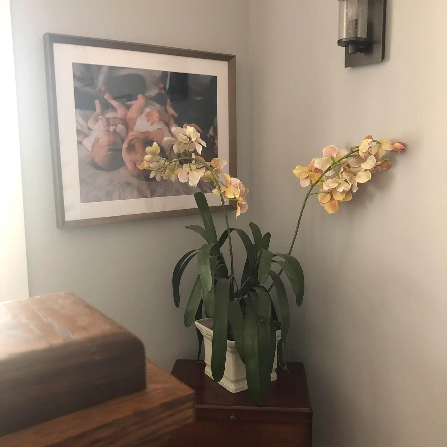 Corner vignette pairing a framed sibling photo with a live orchid on a wooden chest