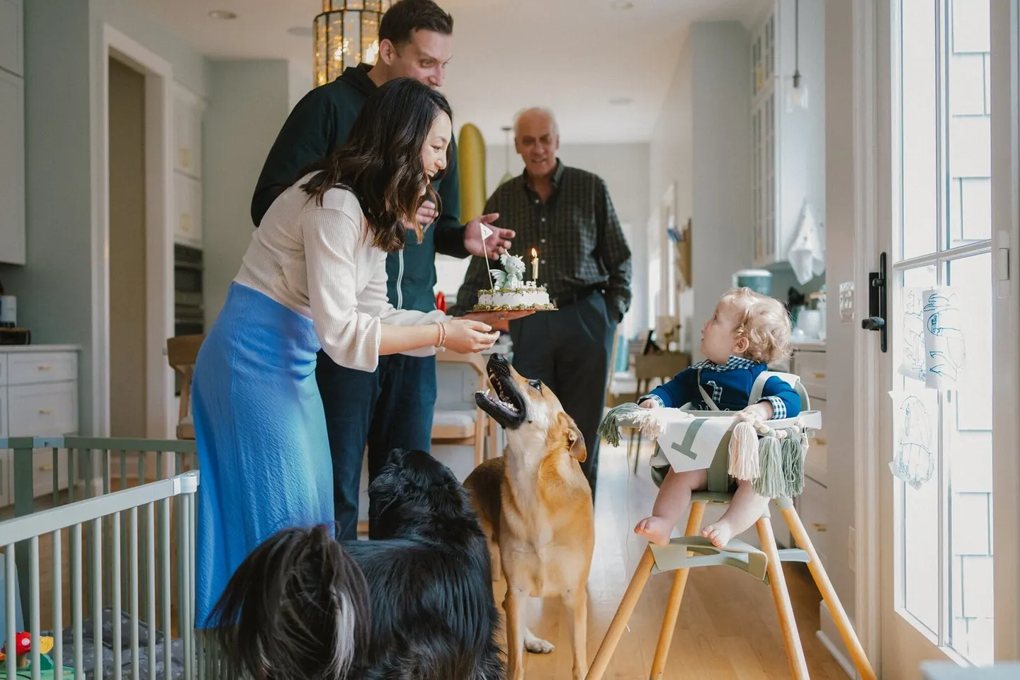 A birthday cake arrives for a boy in his high chair as excited dogs and grandparents look on.