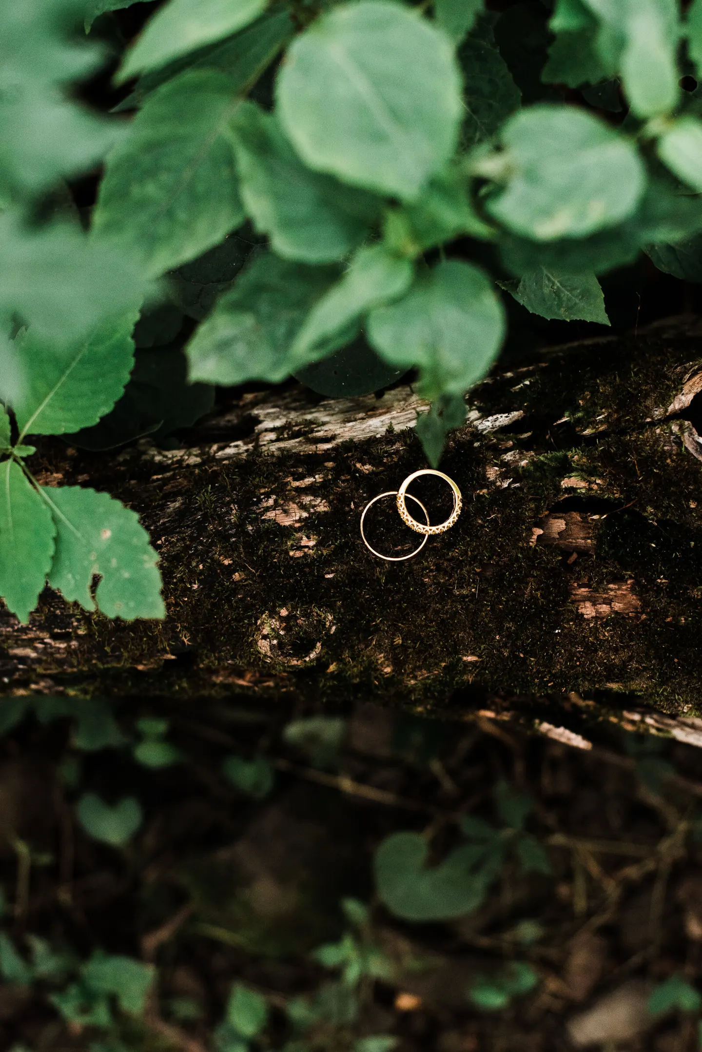 small wedding photography in Charlottesville, VA