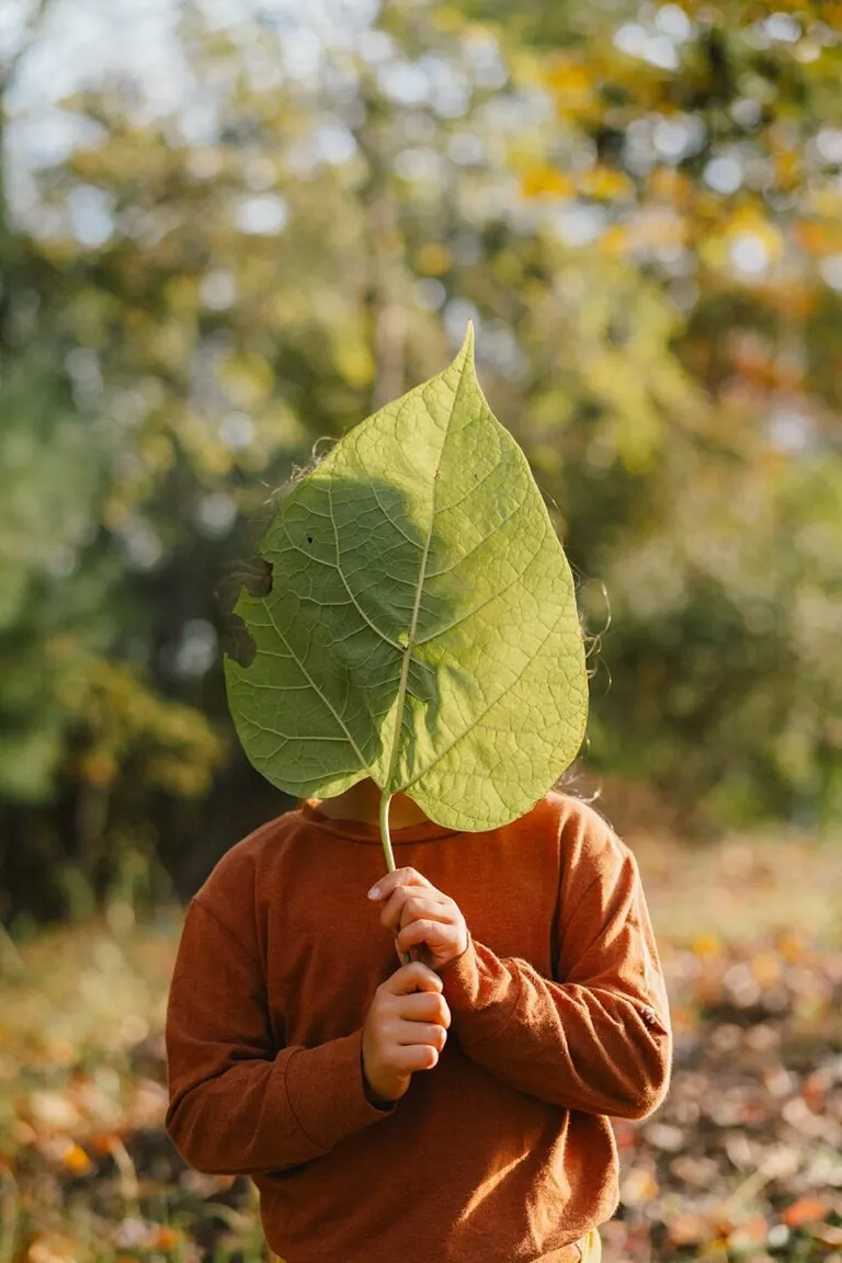virtual mentoring for lifestyle family photographers
